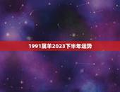 1991属羊2023下半年运势