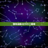 猪年运程2019十二属相，2019猪年十二生肖前身，生肖笔划表