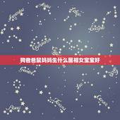 狗爸爸鼠妈妈生什么属相女宝宝好，男的属鼠女的属猪生个什么属相的宝宝好