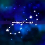 87年属兔35岁2023运势 2023年87年兔运势