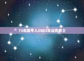 73年属牛人2023年运势男士，73年属牛2023年运势及运程每月运程