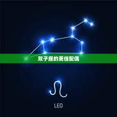 双子座的更佳配偶，双子座的优点和缺点