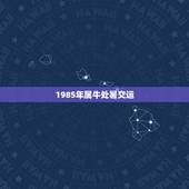 1985年属牛处暑交运，1985年属牛的五行属什么？