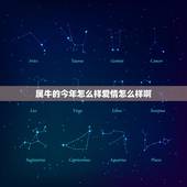 属牛的今年怎么样爱情怎么样啊(2023年属牛人的运势和爱情展望)