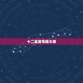 十二星座专属水果，十二星座代表的动物