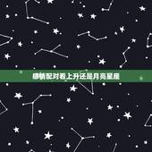感情配对看上升还是月亮星座 怎么算太阳星座