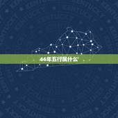 66年五行属什么，1993年出生五行属什么