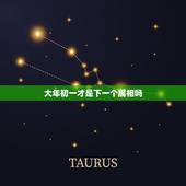 大年初一才是下一个属相吗，属相是从大年初一还是每年的立春开始算的？