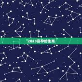 2023喜孕的生肖，2023属什么生肖，2023是什么生肖年