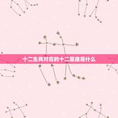 十二生肖对应的十二星座是什么，12星座代表什么生肖