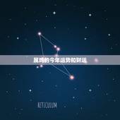 属鸡的今年运势和财运，属鸡的和什么属相最配财运怎么样