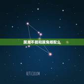 属龙不能和属兔婚配么，属相婚配：男属龙和女属兔相配吗？