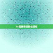 95属猪婚配最佳属相，属猪的人适合早什么属相的女朋友