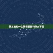 属龙的和什么属相最配和什么不配(如何选择配对)
