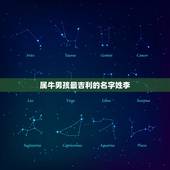 属牛男孩最吉利的名字姓李，2023属牛男孩最吉利的名字