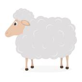 太阳白羊和上升白羊相处(如何避免火花四溅)