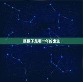属猴子是哪一年的出生(介绍猴年生肖特征及性格特点)