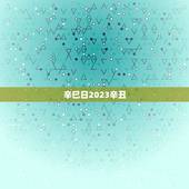 辛巳日2023辛丑，排盘2023年6月2日 2:4占问