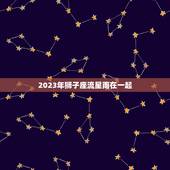 2023年狮子座流星雨在一起，狮子座流星雨来了