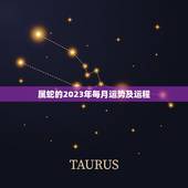 属蛇的2023年每月运势及运程(详解详解)