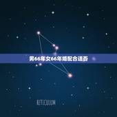 男66年女66年婚配合适否，大龄马找什么属相婚配好，66年男马，和65