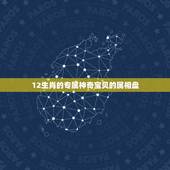 12生肖的专属神奇宝贝的属相盘，十二个生肖是什么