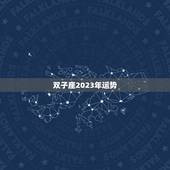 双子座2023年运势，双子座2023年运势及运程