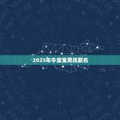 2023年牛宝宝男孩取名，2023年属牛的男孩叫什么名字