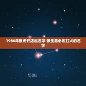 1986年属虎开店起名字 做生意必定红火的名字