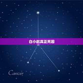 白小航真正死因，20年前向华强去京城，被白晓航怒扇耳光，如今