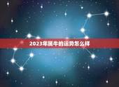 2023年属牛的运势怎么样，属牛女2023年运势如何