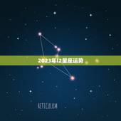 2023年l2星座运势