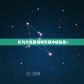 蛇与什么属相相克相冲蚊与蛇，属蛇的和什么属相相害