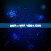 爸爸属蛇妈妈属马属什么属相好，母亲属马属蛇要个什么属相的宝宝