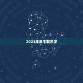 2023年金牛取名字，2023年金牛宝取名字？