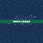 摩羯是什么象星座的，狮子是什么象星座的