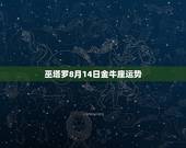 巫塔罗8月14日金牛座运势