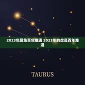 2023年属兔百年难遇 2023年的虎是百年难遇
