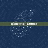 2007年五行属什么命缺什么