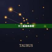 十二星座本命花 十二生肖的本命花