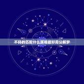 不码的匹配什么属相最好周公解梦，和牛肖最匹配的生肖是什么