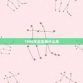 1990年出生是什么年