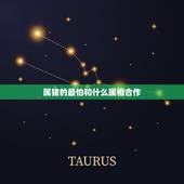 属猪的最怕和什么属相合作，属猪的与哪些属相合作好呢？