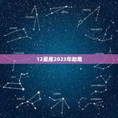 12星座2023年劫难，2023巨蟹座运势