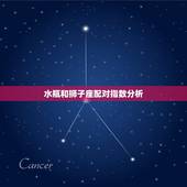 水瓶和狮子座配对指数分析，水瓶座和狮子座合适吗