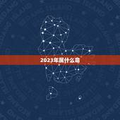 2023年属什么命，2026年是什么命