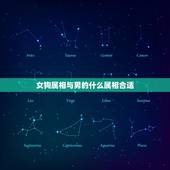 女狗属相与男的什么属相合适，属狗的女性和什么属相的男性最般配