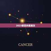 2023暴富的星座女，12星座2023 年运势详解
