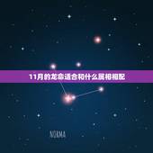 11月的龙命适合和什么属相相配，88年属龙的和什么属相最配？