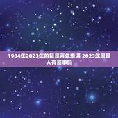 1984年2023年的鼠是百年难遇 2023年属鼠人有喜事吗